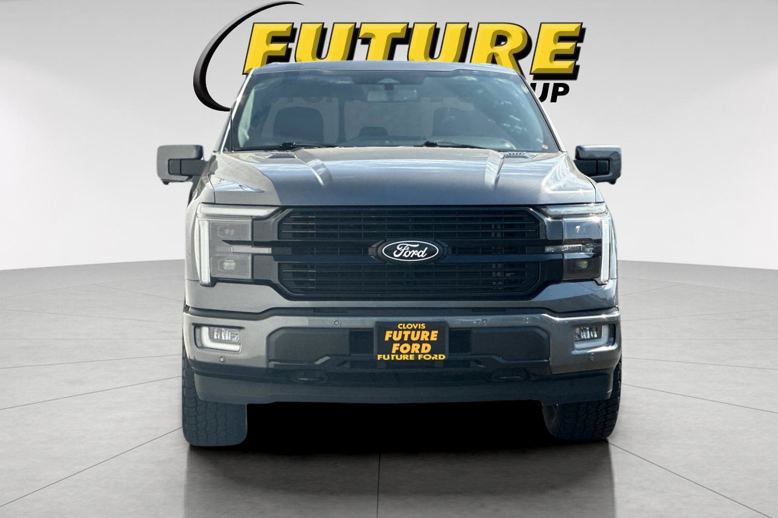 Used 2024 Gray Ford Platinum image 8