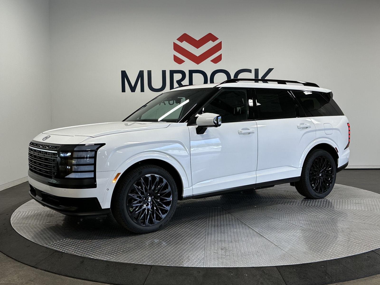 New 2027 Creamy White Pearl Hyundai Calligraphy Black Ink image 1
