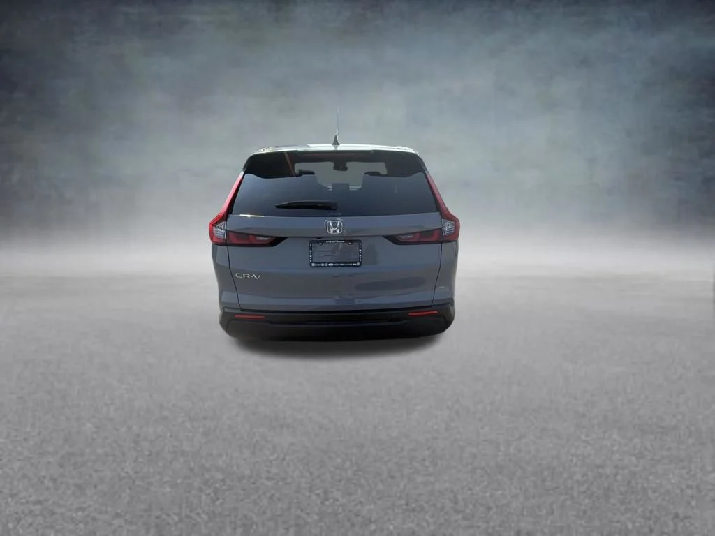Used 2025 Gray Honda EX-L image 4