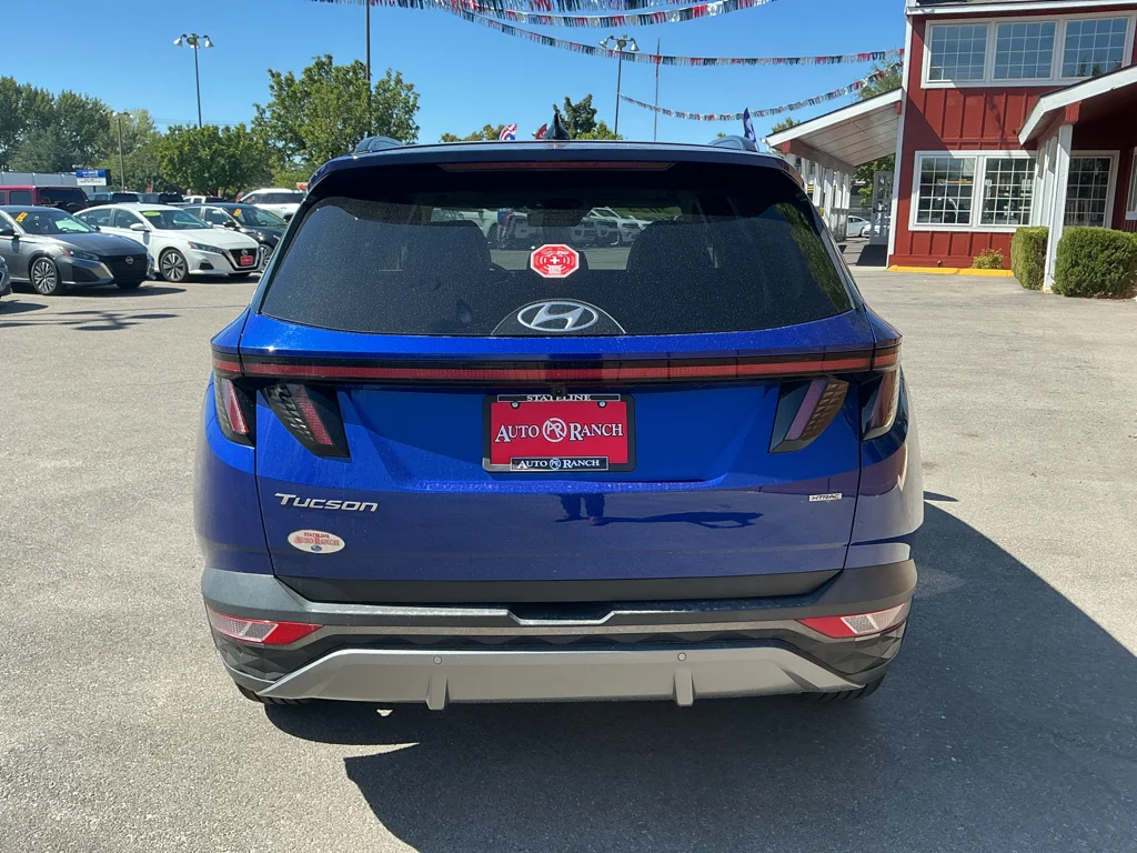 Used 2024 Intense Blue Hyundai Limited image 6