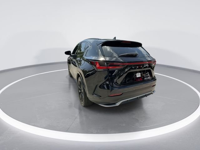 2024 Lexus NX 350 - Photo 6