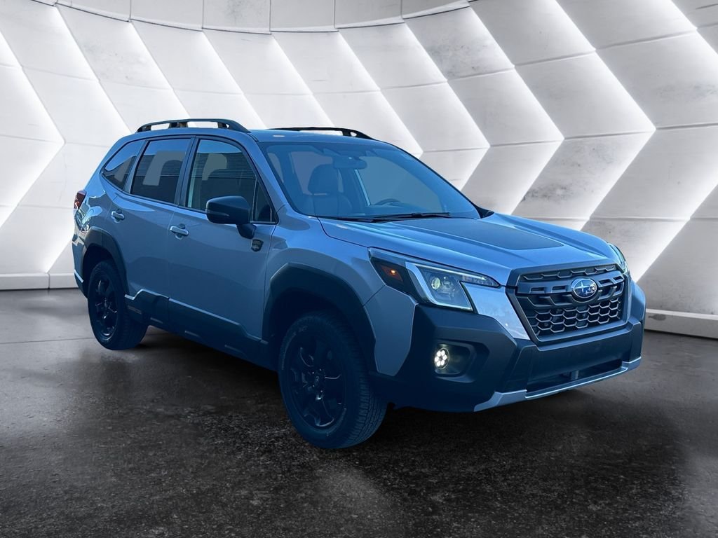 Used 2024 Silver Subaru Wilderness image 1