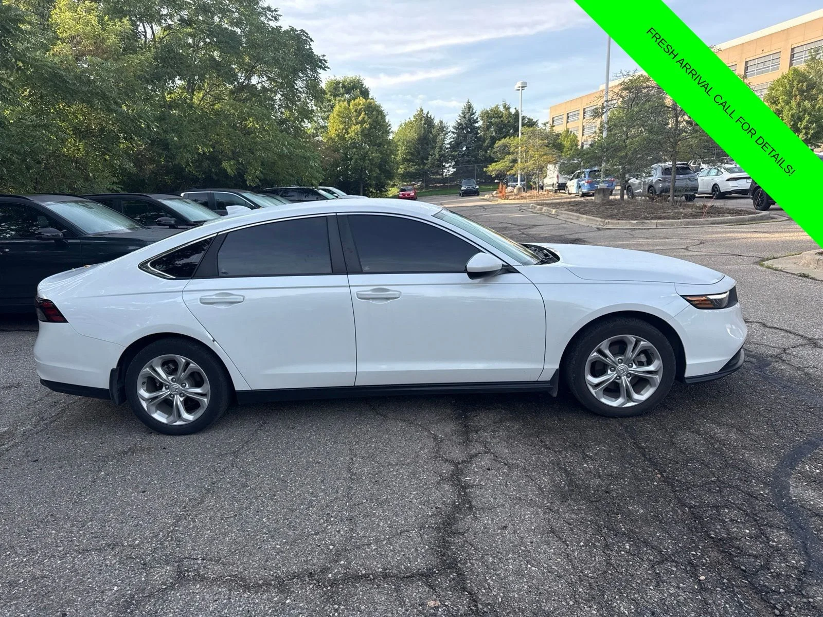 Used 2024 Platinum White Pearl Honda LX image 7