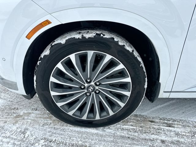 2025 Hyundai Palisade Calligraphy - Photo 21