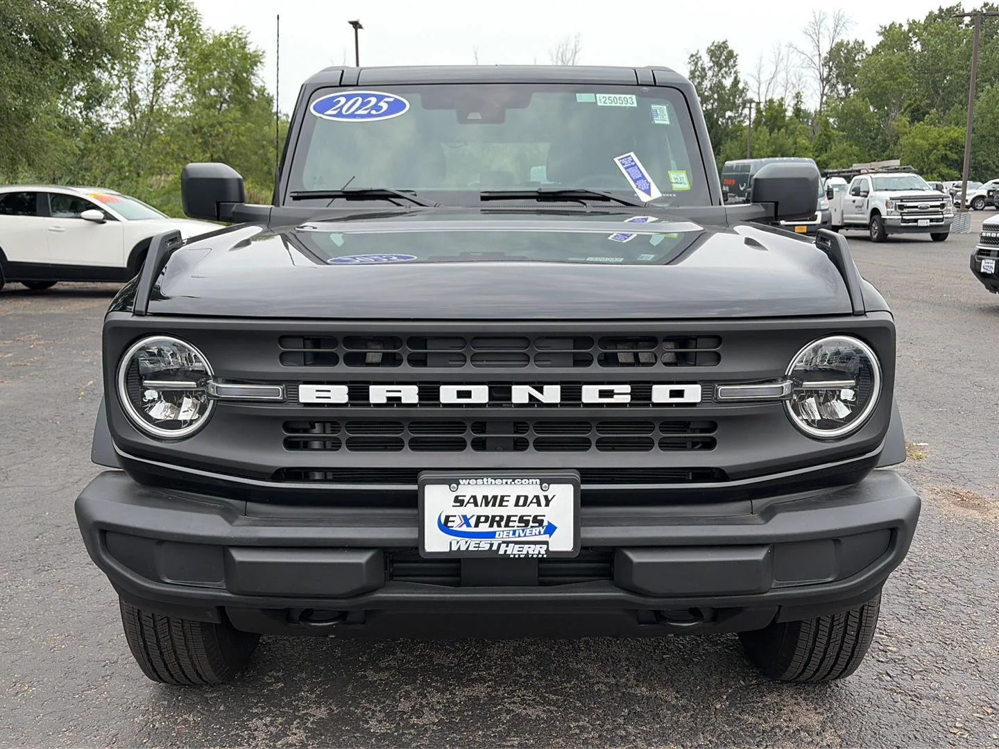 New 2025 Shadow Black Ford Base image 13