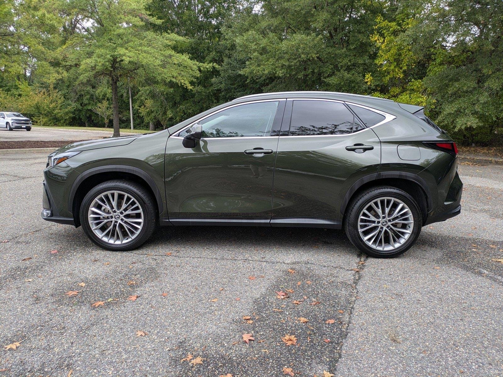 Used 2025 Nori Green Pearl Lexus NX 350 Premium image 7