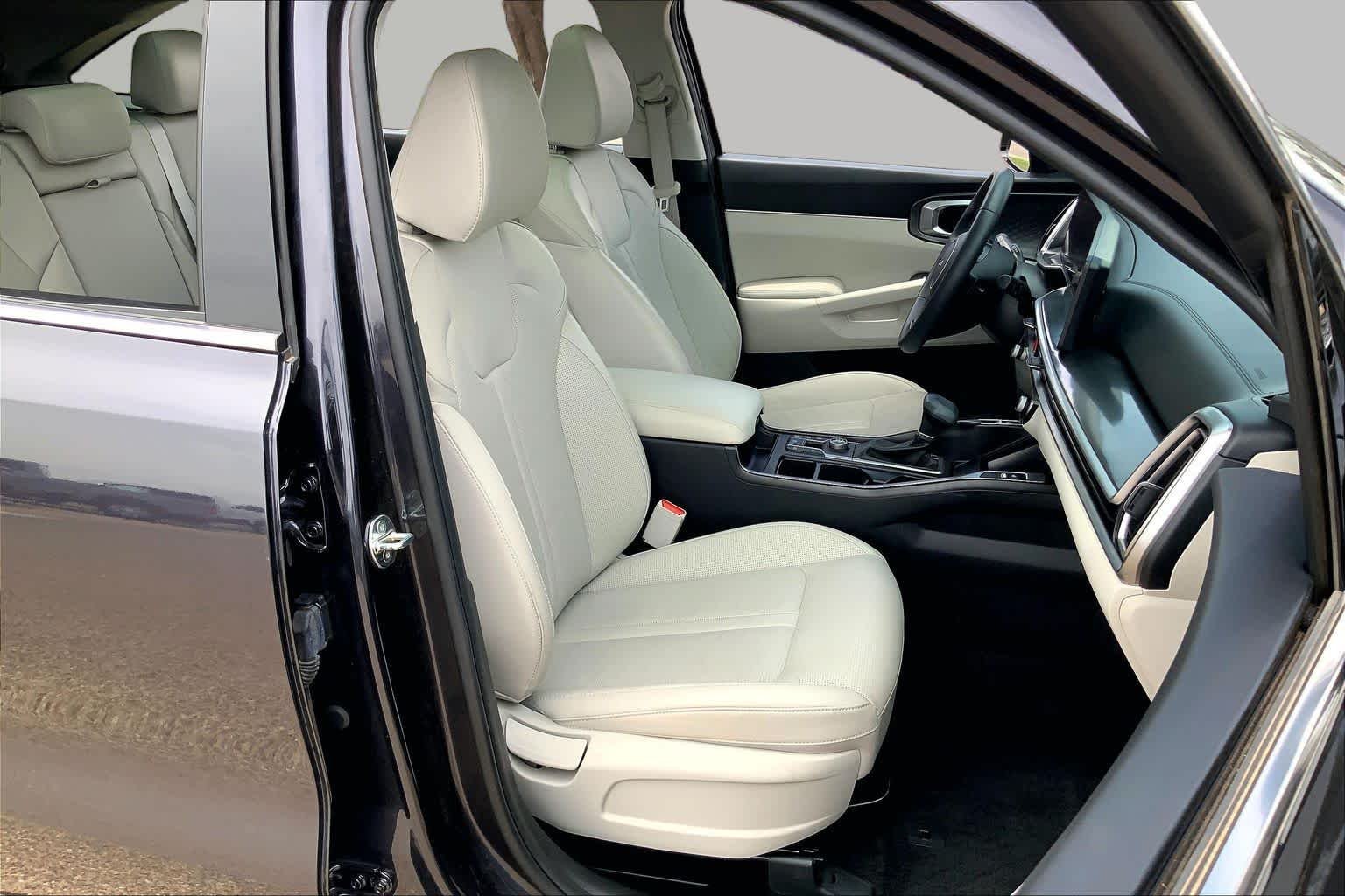 Used 2025 Panthera Metal Kia S image 9