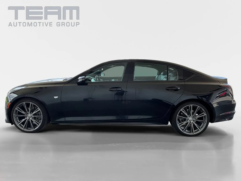 Used 2023 BLACK RAVEN Cadillac Sport image 4