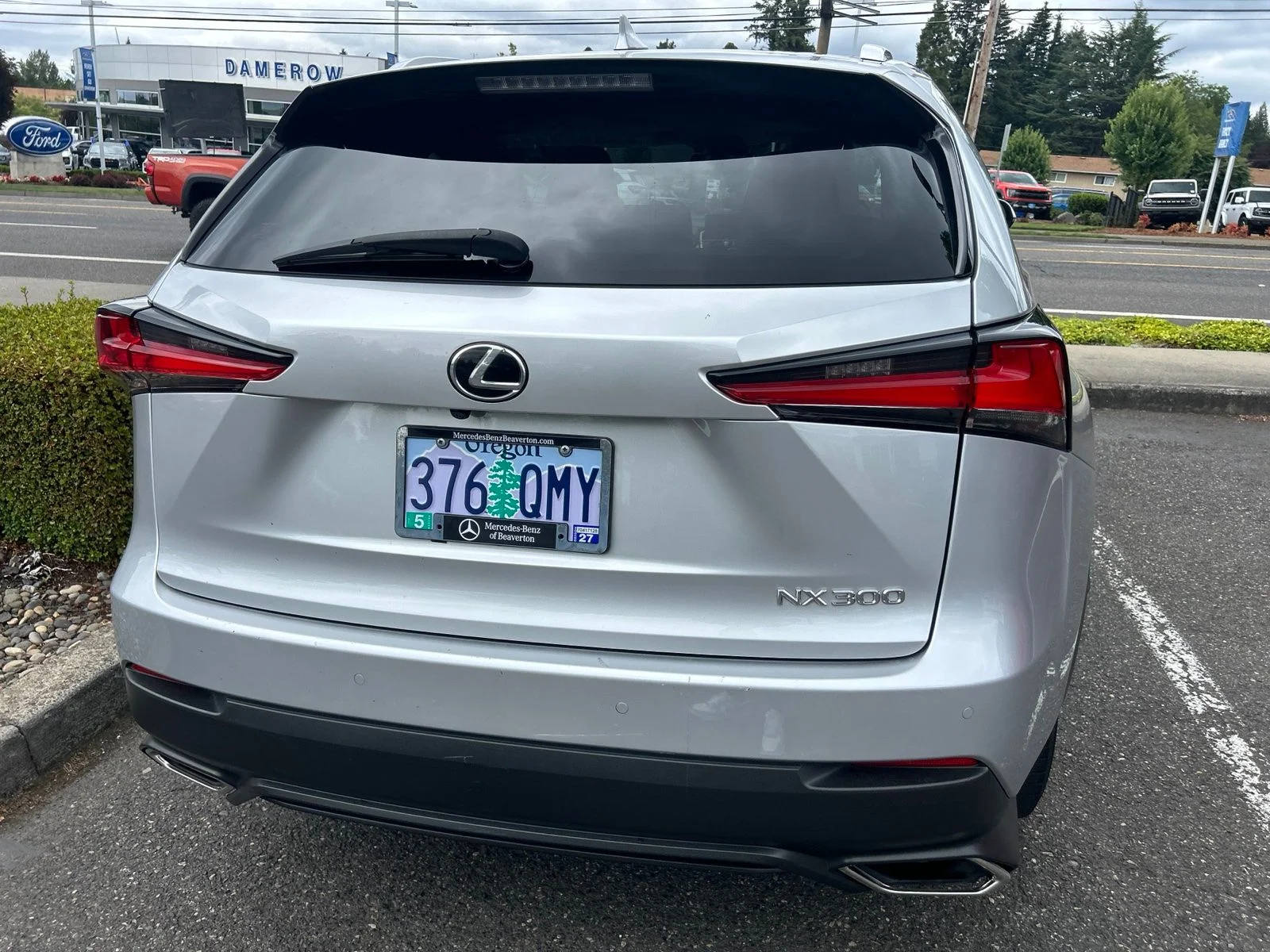 Used 2019 Silver Lining Metallic Lexus 300 Base image 6