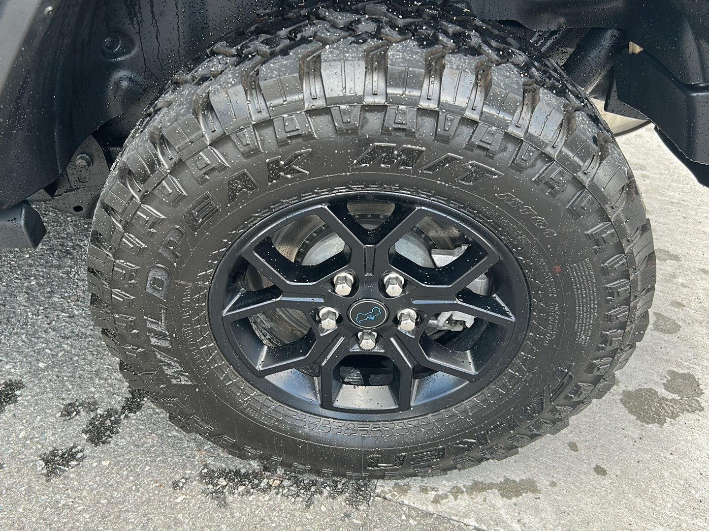 Used 2024 Anvil Clear Coat Jeep Willys image 16
