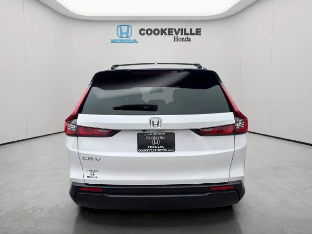 Used 2026 Platinum White Pearl Honda LX image 6