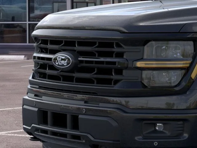 New 2026 Agate Black Metallic Ford LIFTED image 39