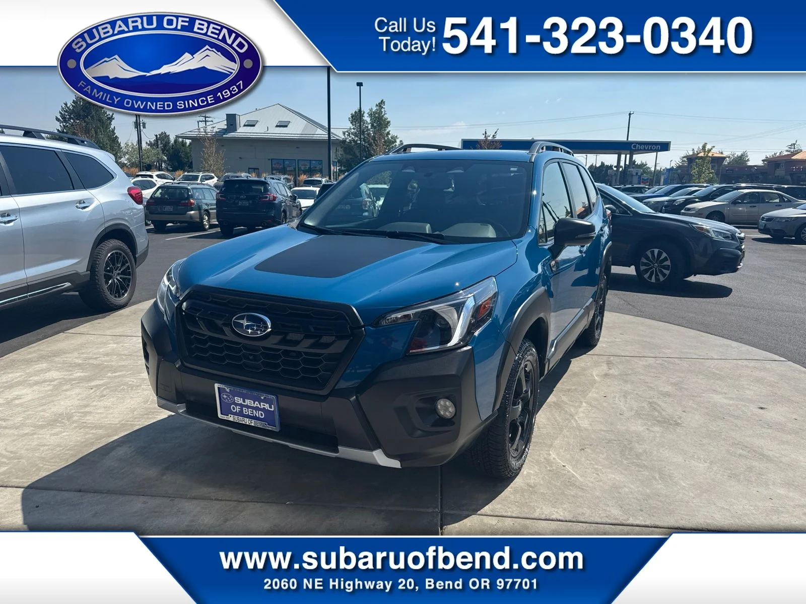 Used 2025 Blue Subaru Wilderness image 1