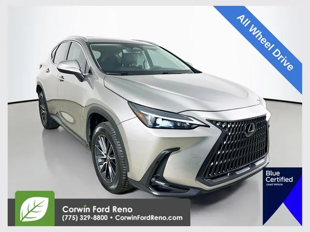 2024 Lexus NX 350 350 AWD's photo