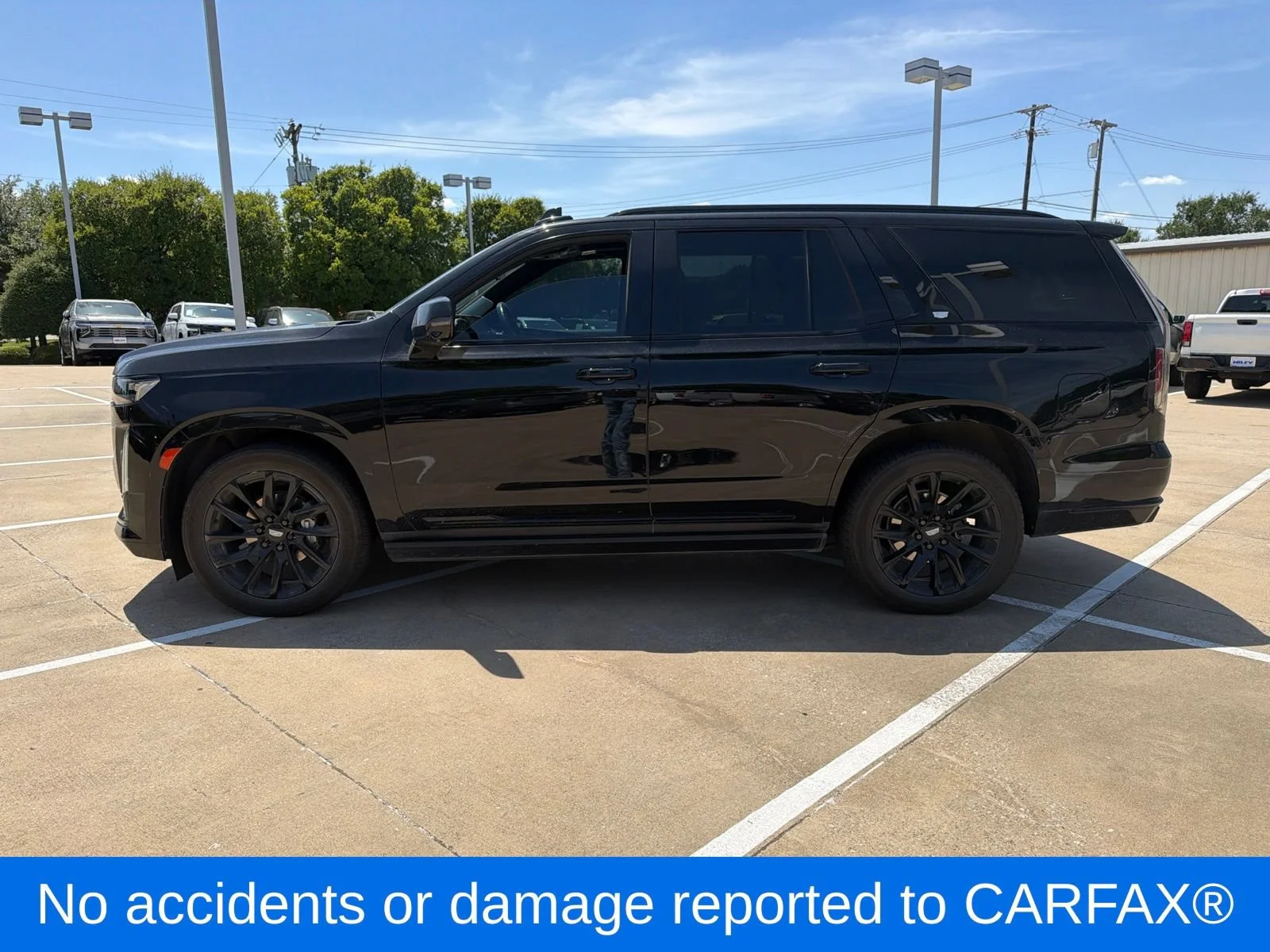 Used 2023 BLACK RAVEN Cadillac 4WD Sport Platinum image 2