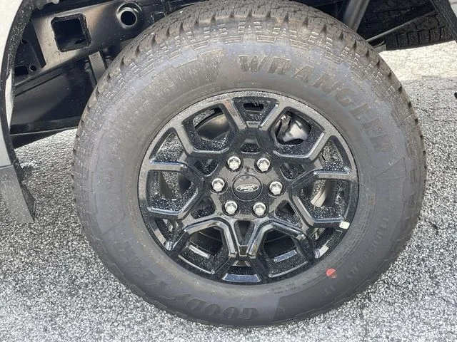 New 2026 Gray Ford STX image 7