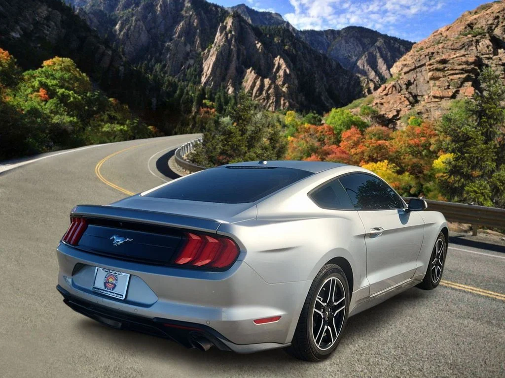 Used 2020 Silver Ford EcoBoost Premium image 3