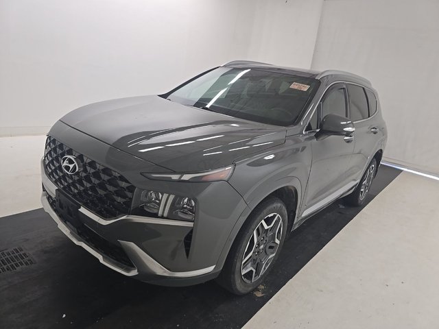 2021 Hyundai Santa Fe Calligraphy