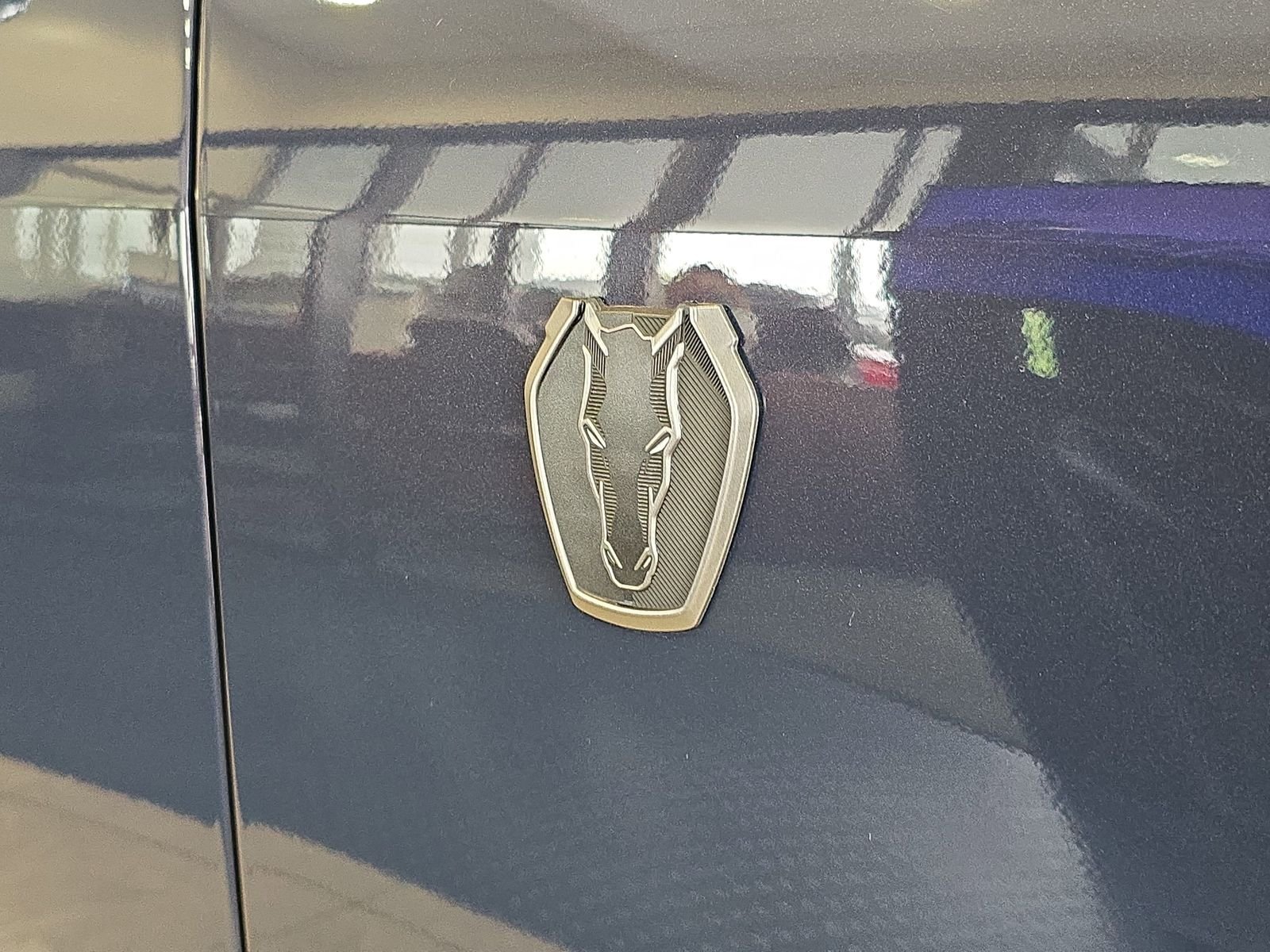 2025 Ford Mustang Dark Horse - Photo 7