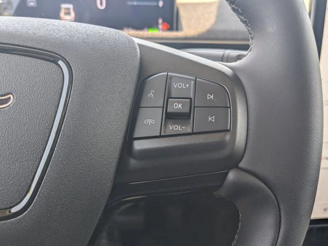 New 2026 Beige Ford Premium image 28