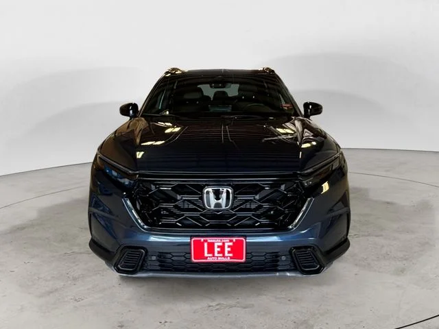 Used 2024 Blue Honda Sport-L image 9