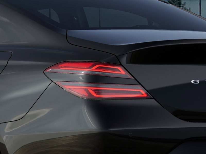 New 2027 Vik Black Genesis Standard image 12