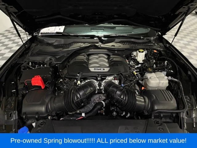 Used 2024 Black Ford GT Premium image 14