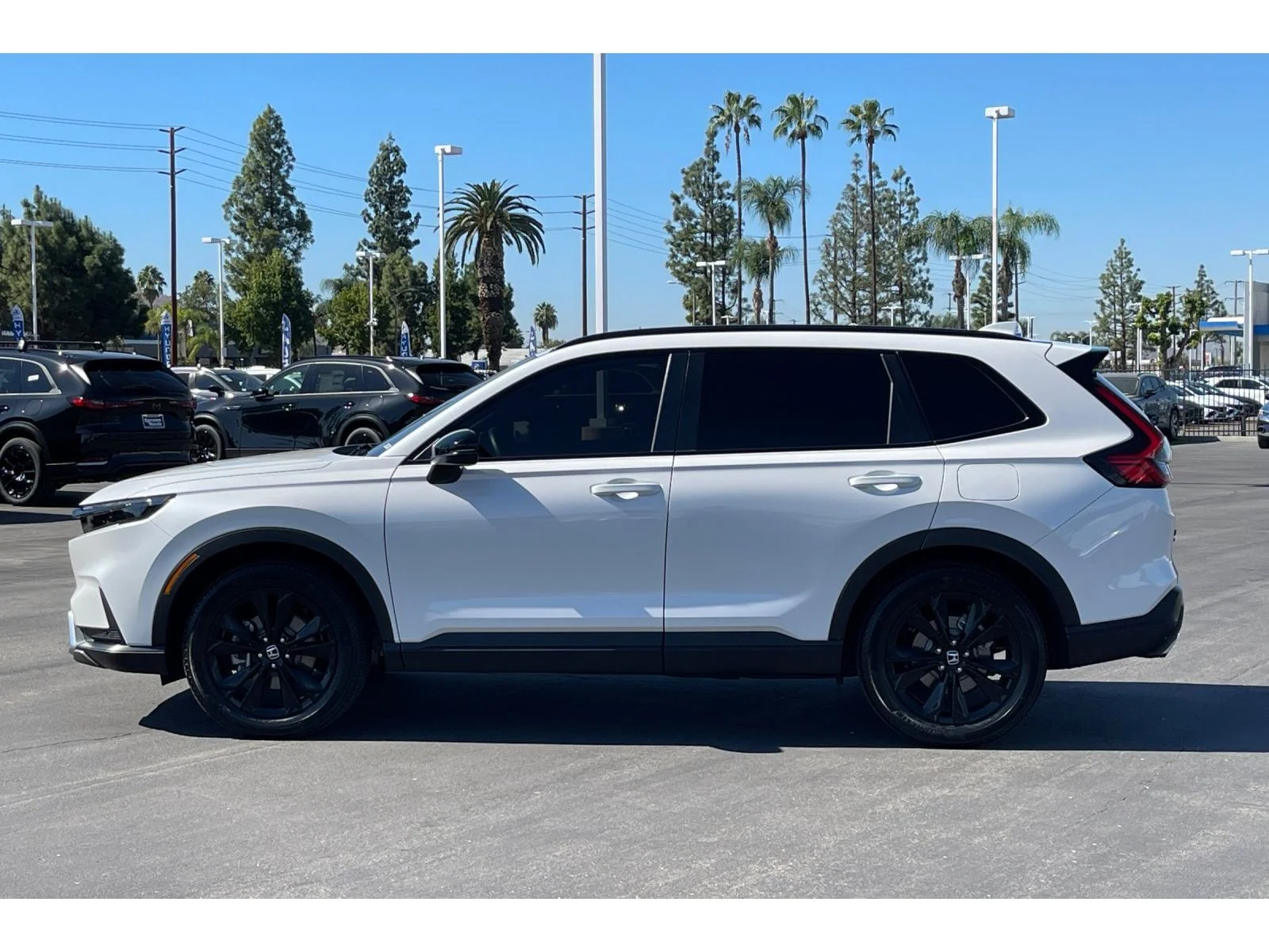 Used 2026 Platinum White Pearl Honda Sport Touring image 2