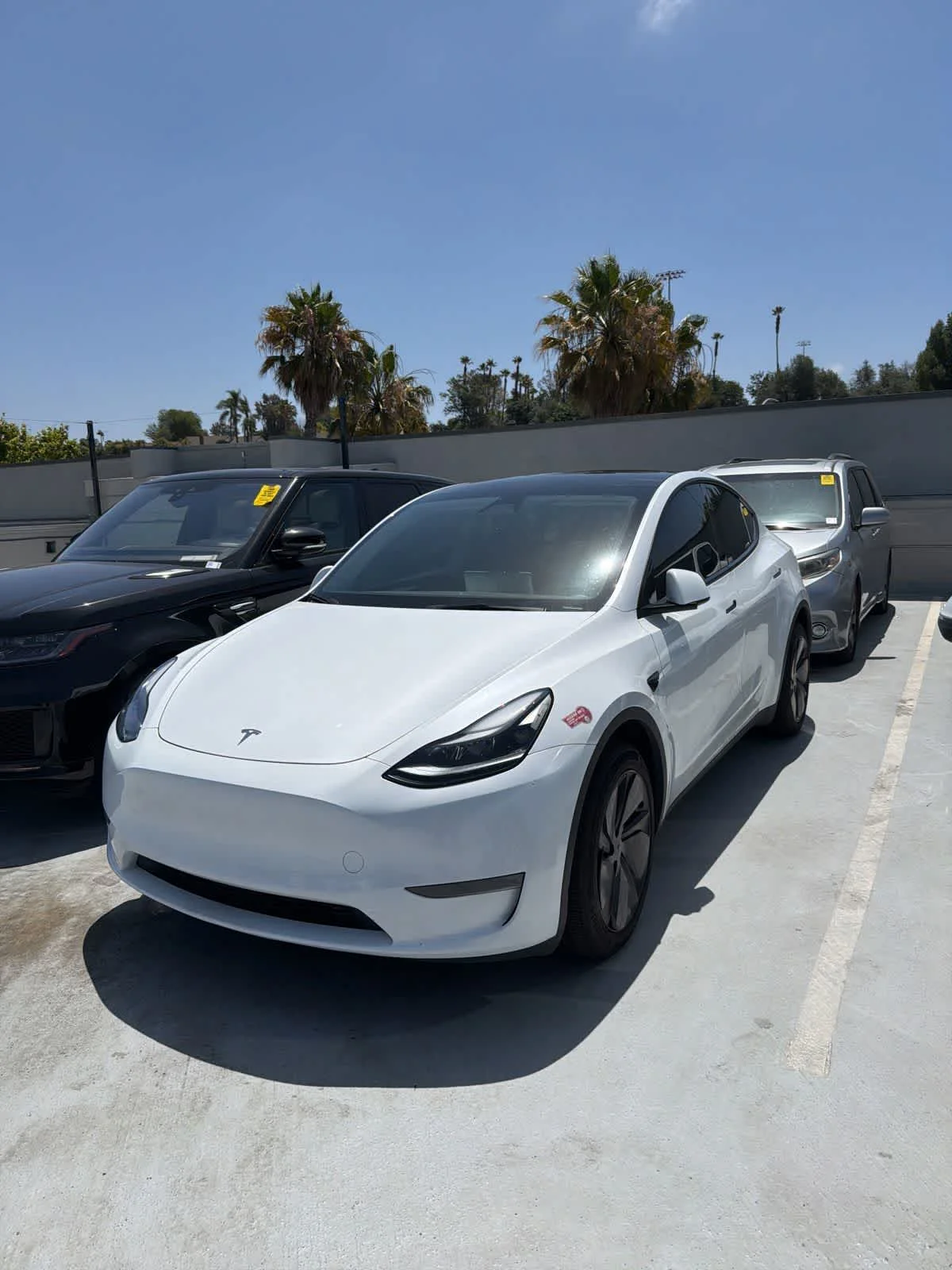 2023 Tesla Model Y Long Range Dual Motor All-Wheel Drive's photo