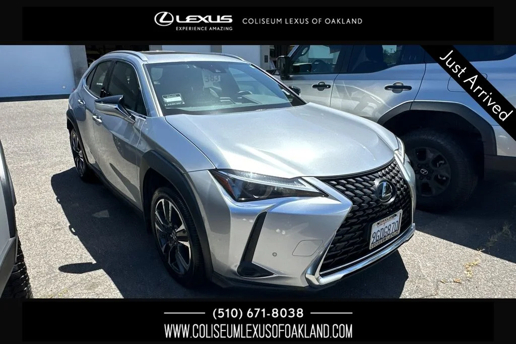 2023 Lexus UX 300h 250h's photo