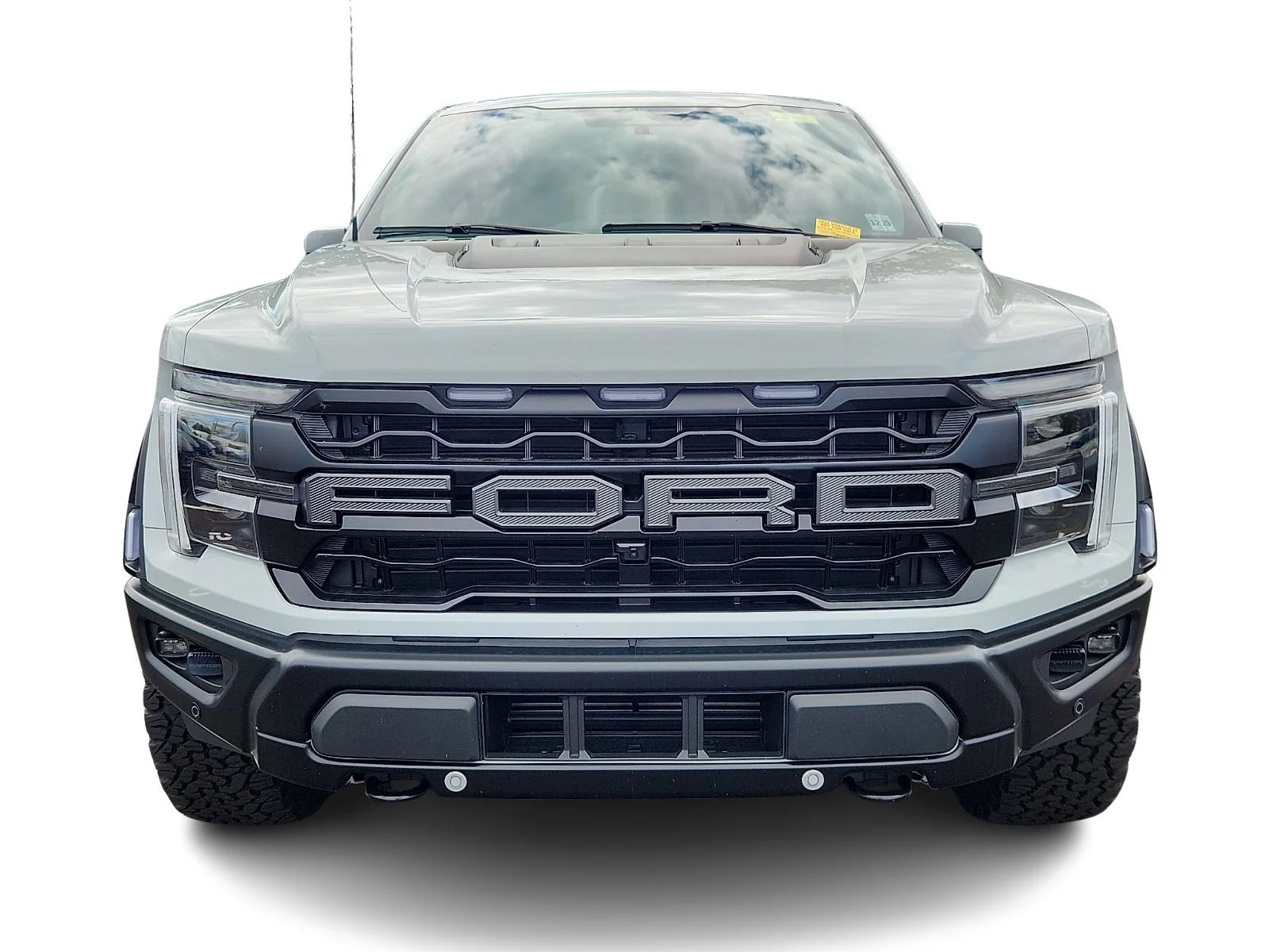 Used 2024 Avalanche   Dr Ford Raptor image 2