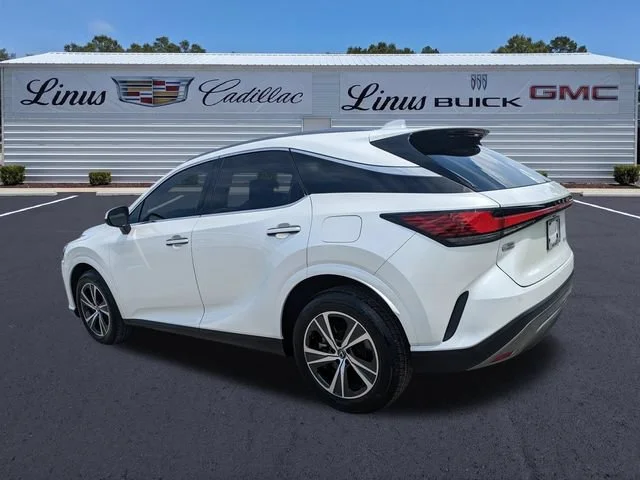 2025 Lexus RX 350 - Photo 6