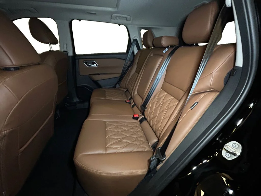 New 2026 Super Black Nissan Platinum image 13