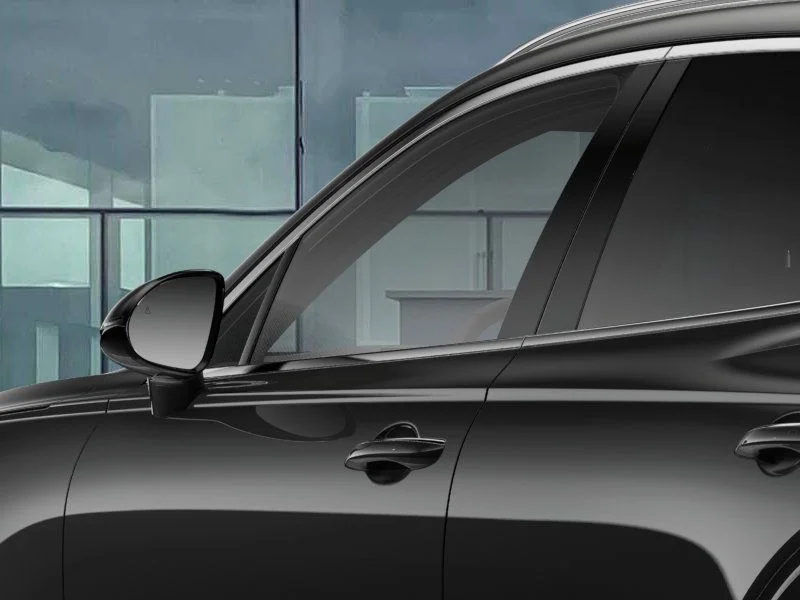 New 2026 Vik Black Genesis 2.5T image 14