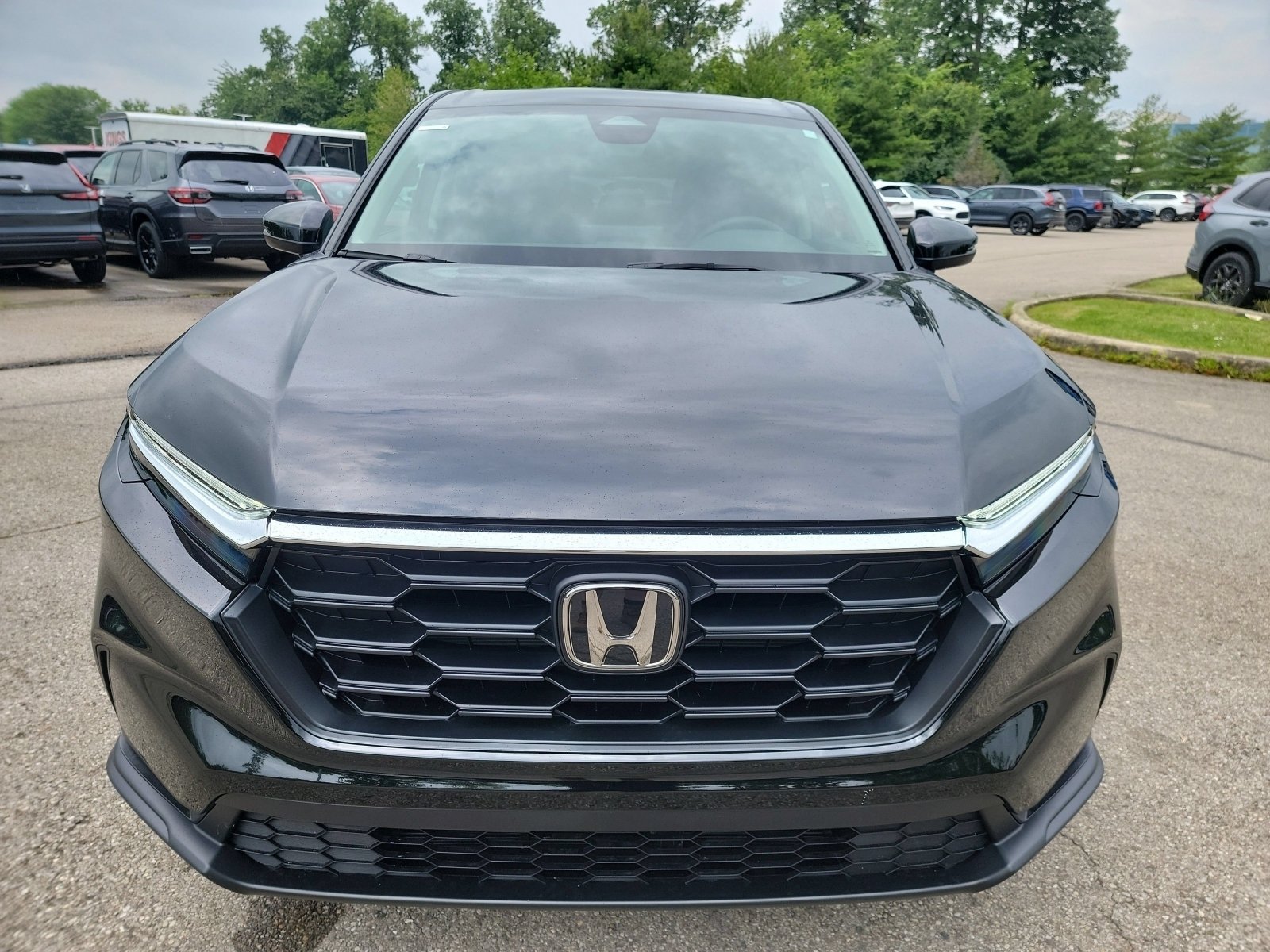 New 2026 Crystal Black Pearl Honda LX image 2