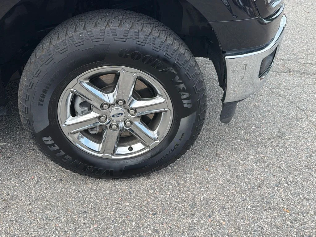 Used 2025 Black Ford XLT image 4