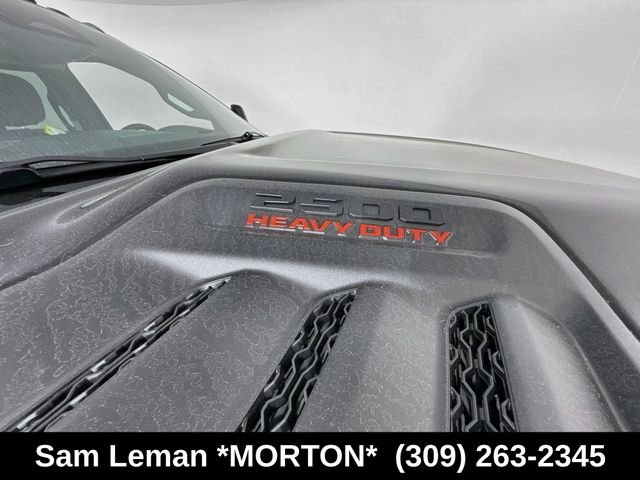 New 2026 Diamond Black Crystal Pearl-Coat Exterior Paint Ram Black Express image 41