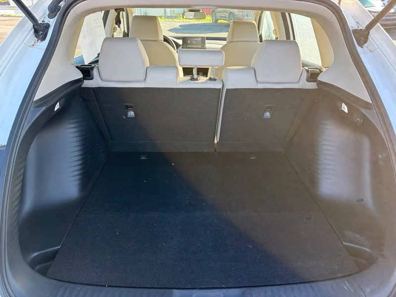 Used 2024  Honda LX image 10