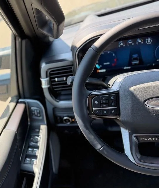 New 2026 Black Ford Platinum image 19