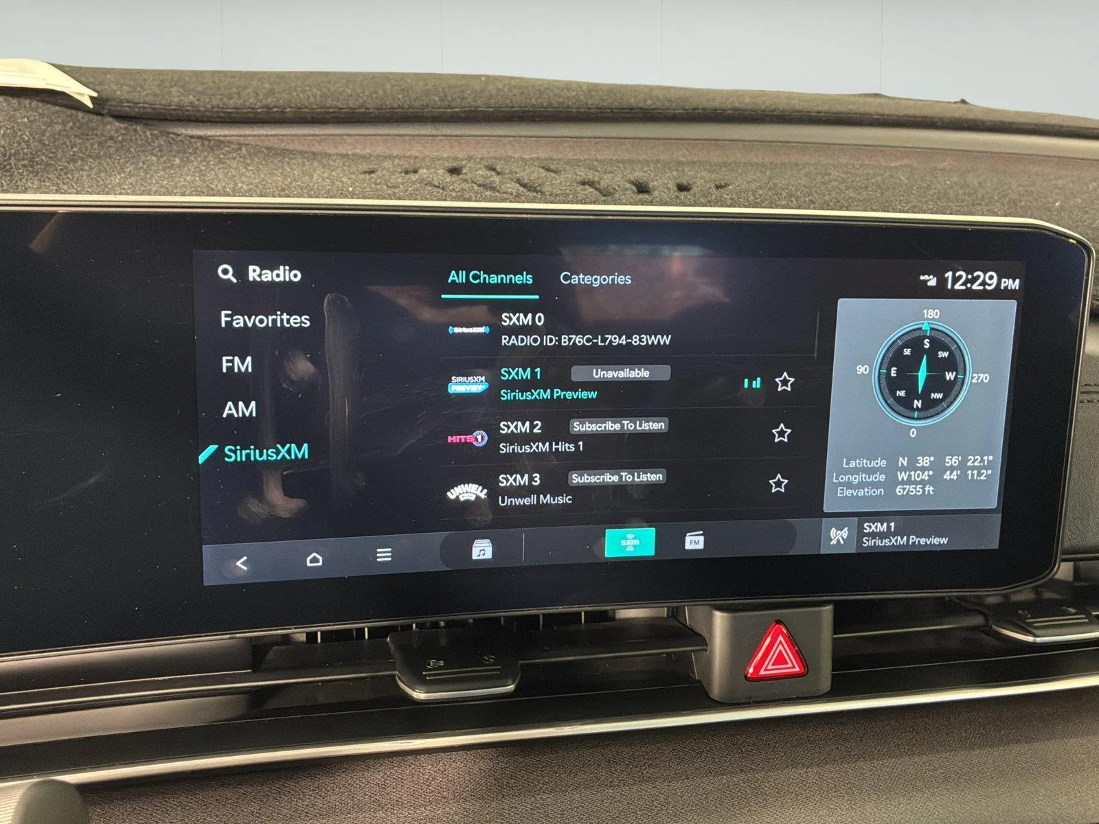 Used 2026 Panthera Metal Kia SX image 28