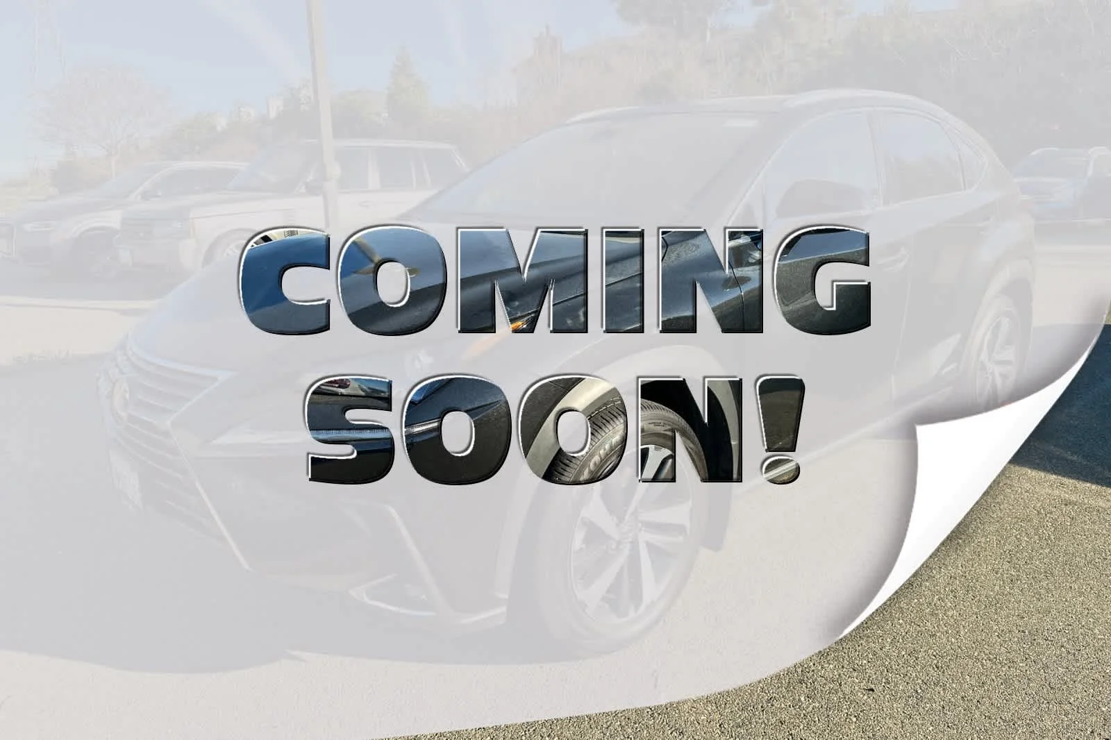 2021 Lexus NX 350h 300h AWD's photo