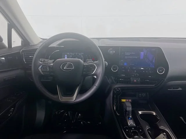 Used 2025 Grecian Water Lexus 250 Premium image 19
