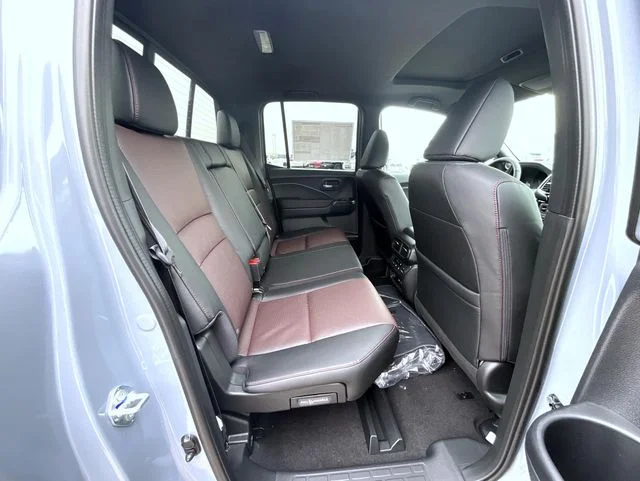 New 2026 Gray Honda Black Edition image 11