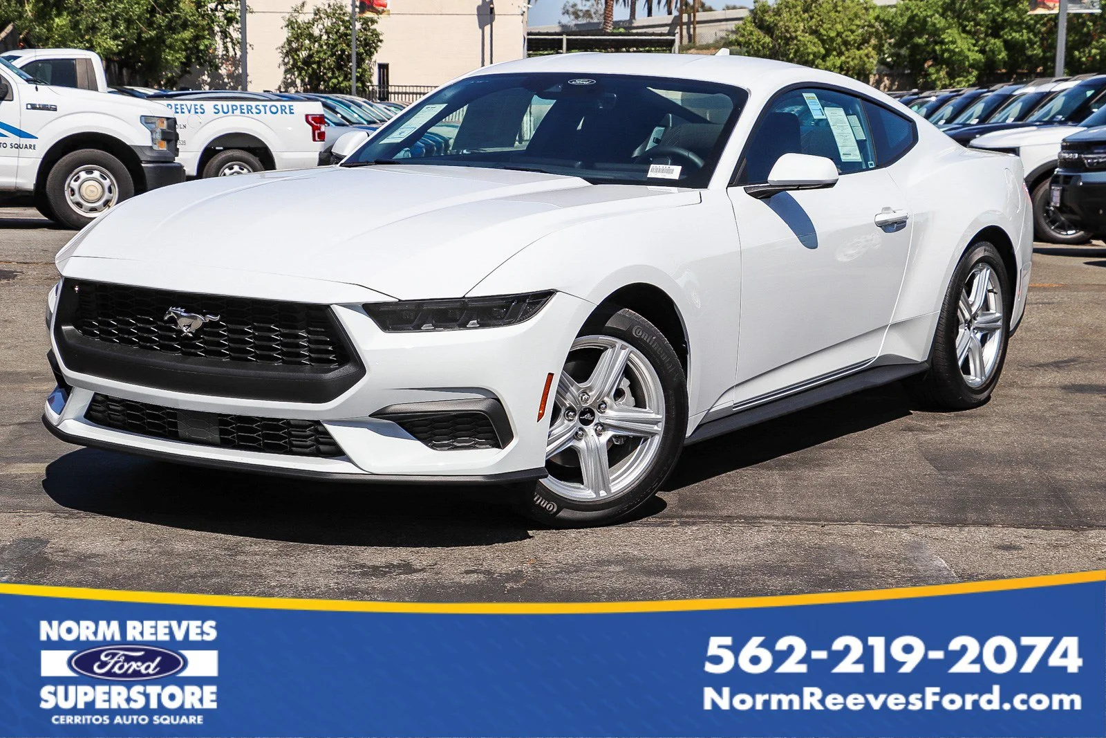New 2026 Oxford White Ford EcoBoost® Fastback image 1