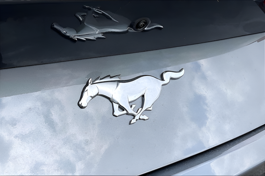 New 2026 Carbonized Gray Metallic Ford EcoBoost Premium image 17