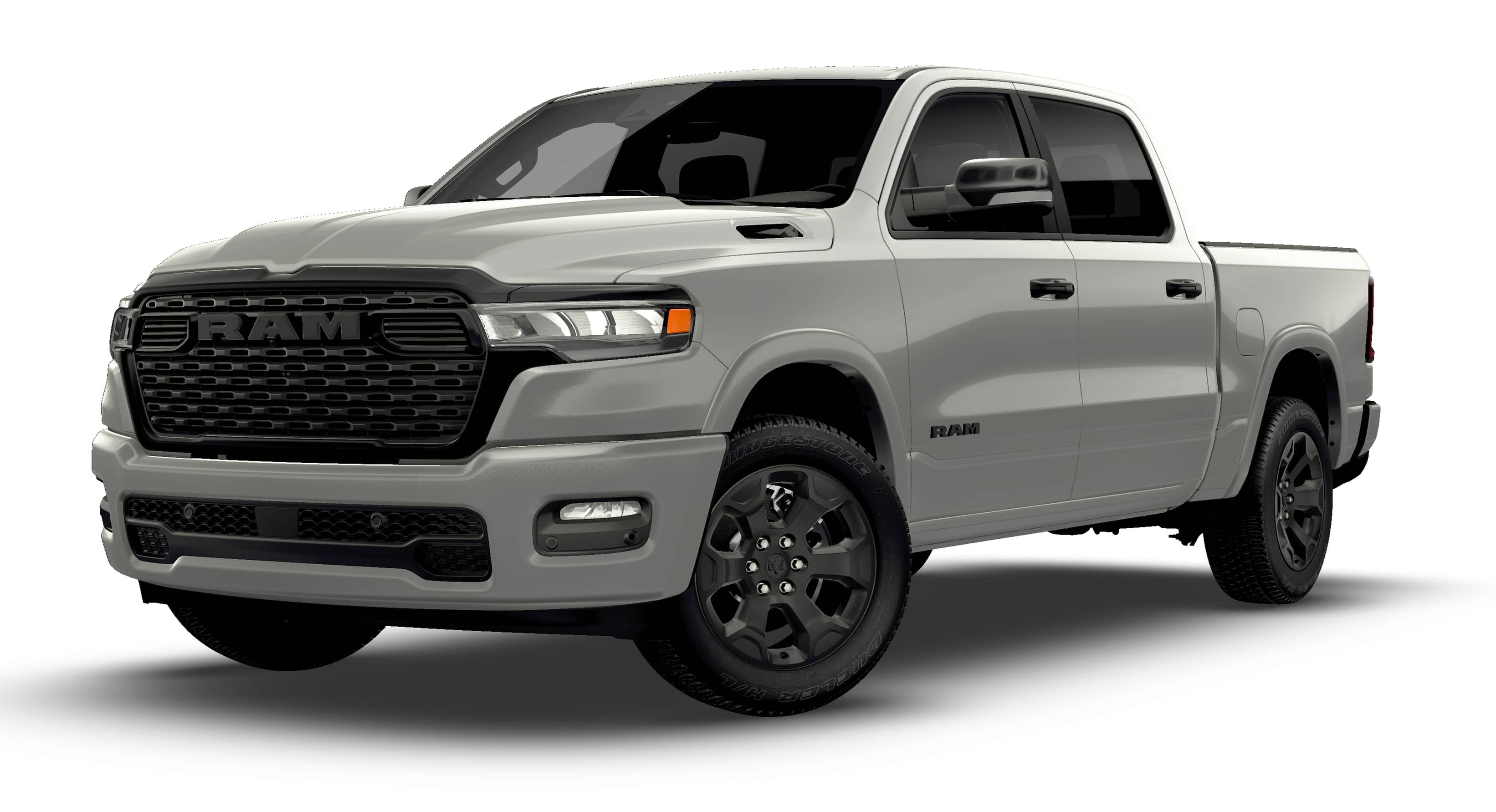 New 2026 Silver Zynith Exterior Paint RAM Big Horn/Lone Star image 13