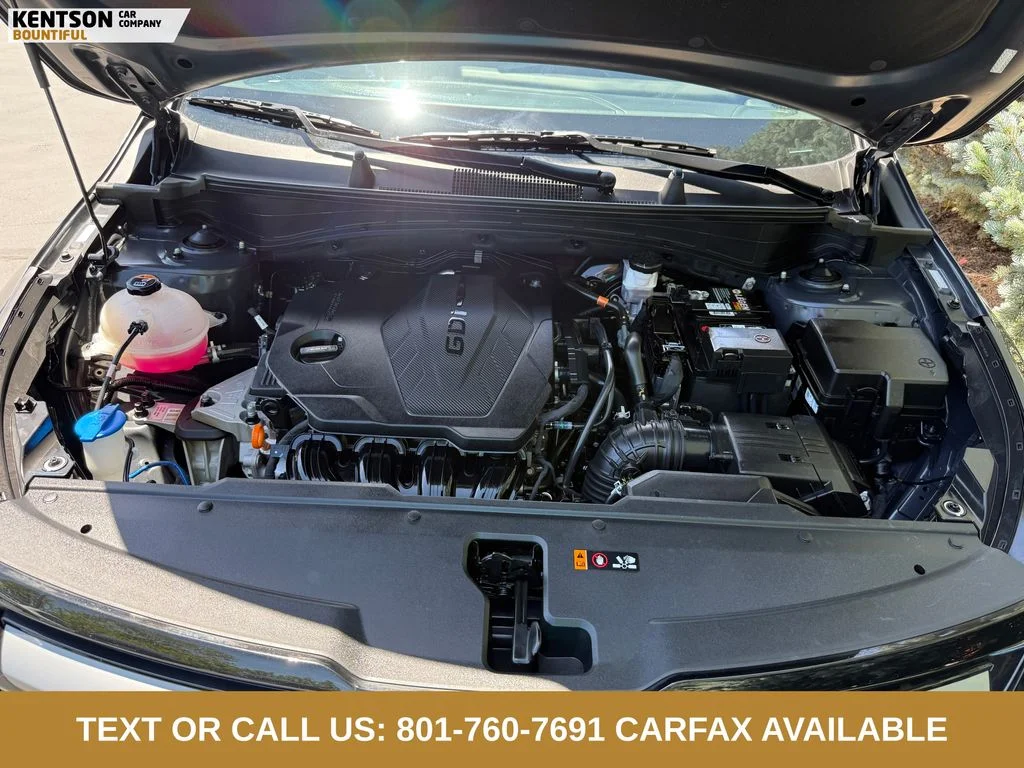 Used 2024 Gray Kia X-Line image 33