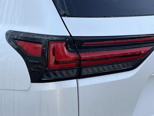 2024 Lexus LX Luxury - Photo 10