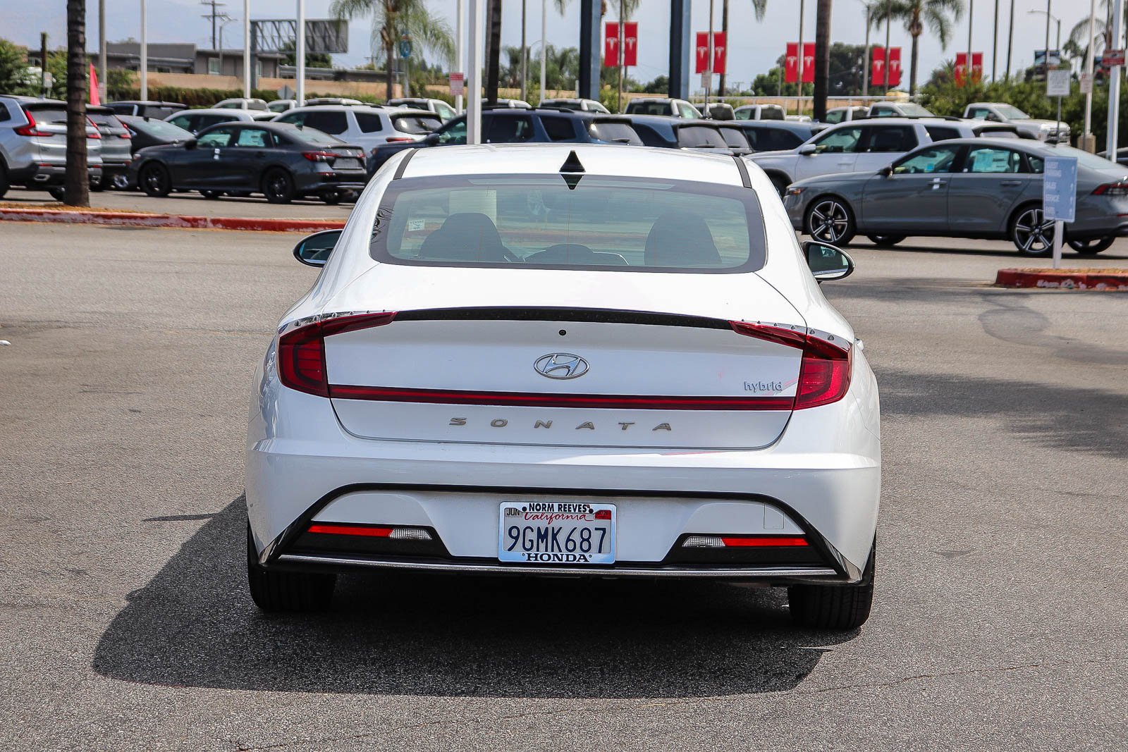 Used 2023 Serenity White Hyundai SEL image 12