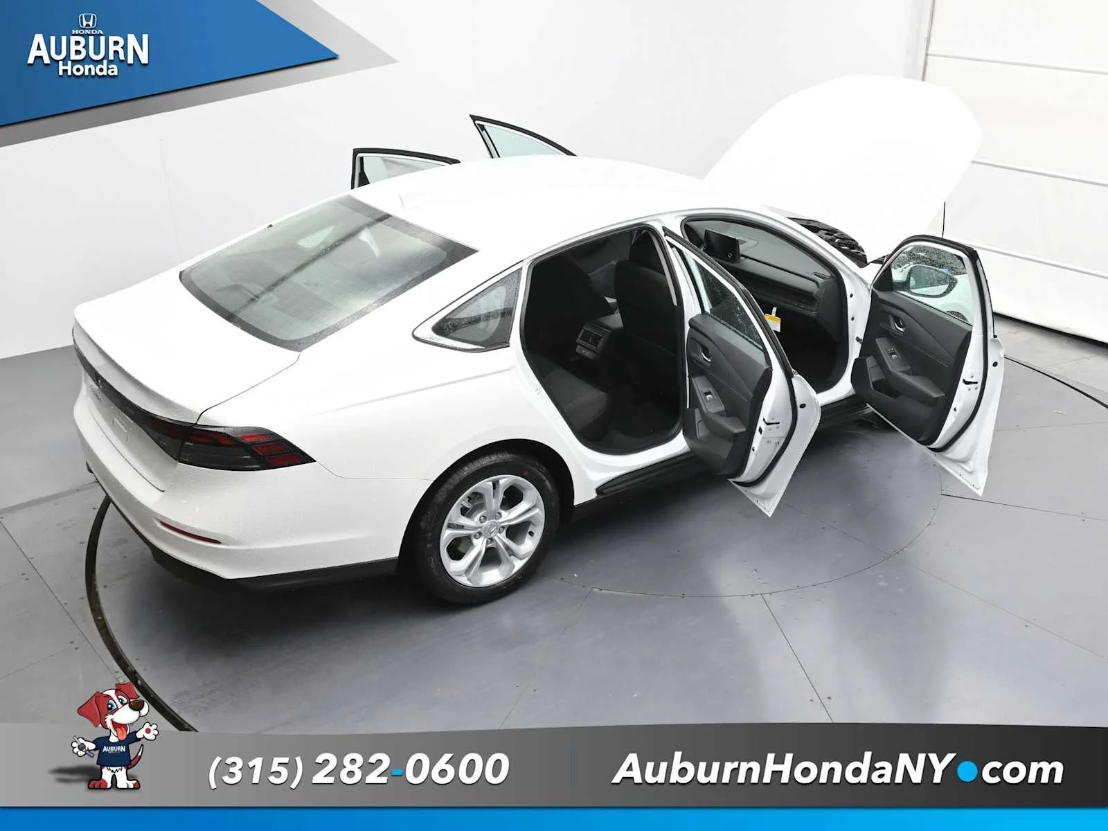 New 2025 Platinum White Pearl Honda LX image 37